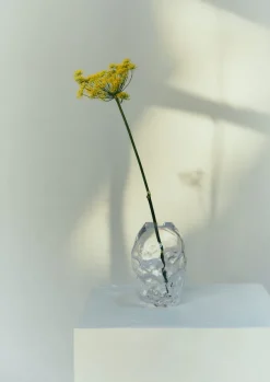 Hot Rosie Stonham Medium Membrane Vase Glass|Decorative Pieces