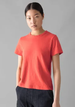 Best Sadie Organic Cotton Boy Tee Women Jersey|Tops & Tees