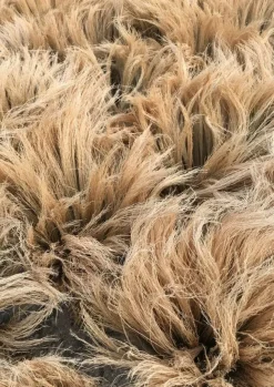 New Sorghum Stripe Broom Outdoor|Kitchen